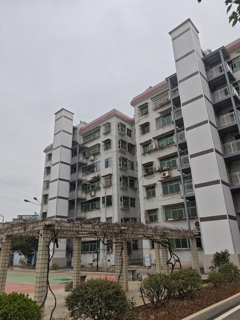 湖北阳新：“微创手术”激必赢平台活千年古镇(图9)