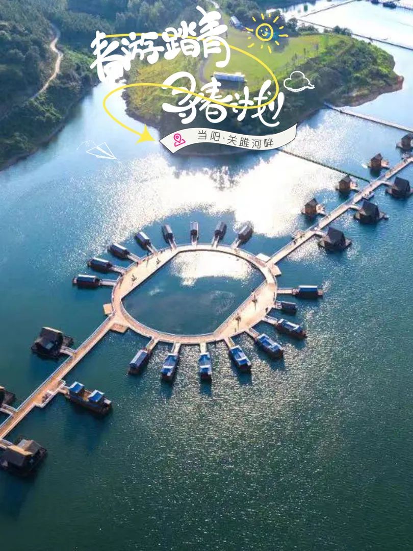 小镇>岩岭大杉树>大槽村蓝莓生态观光园>高岚自然风景区810_1080竖版