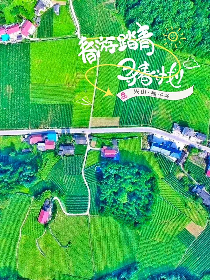 小镇>岩岭大杉树>大槽村蓝莓生态观光园>高岚自然风景区810_1080竖版