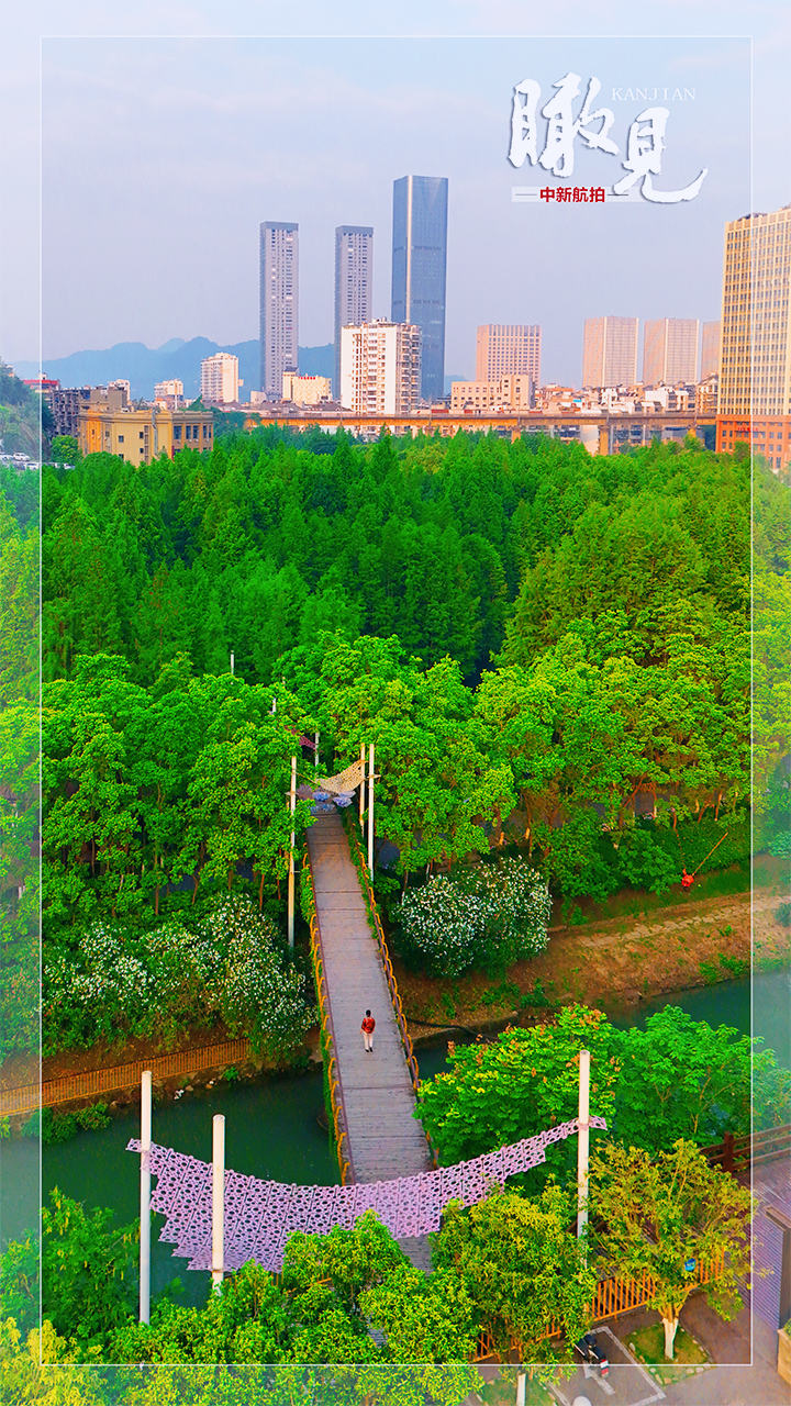 刘康 摄