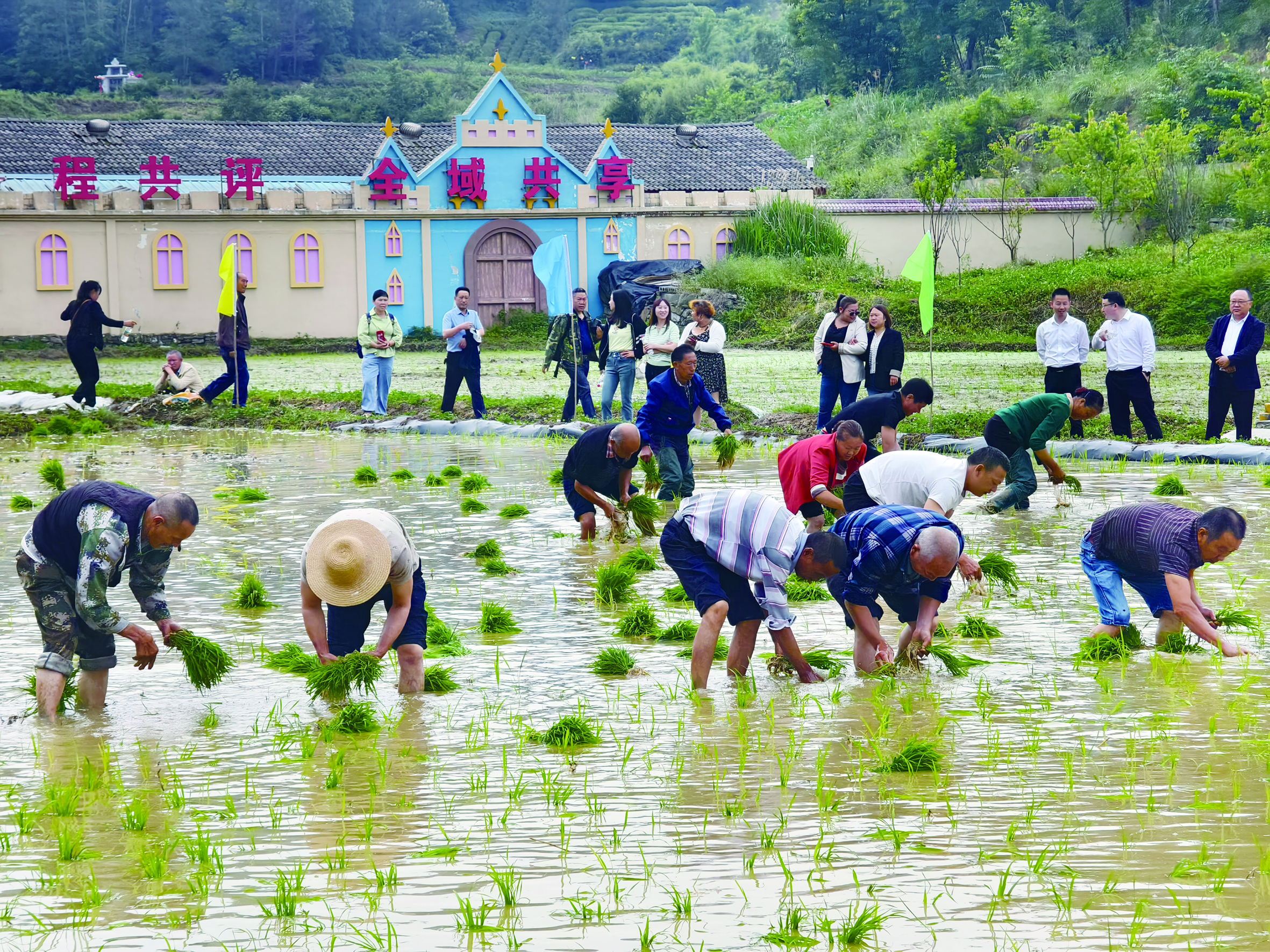 第四届农耕文化节举行  16个项目赋能香米产业升级增效