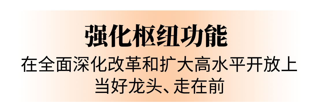 强化龙头担当奋利来国际app力走在前列省表委员热议在支点建设中的武汉重任(图7)