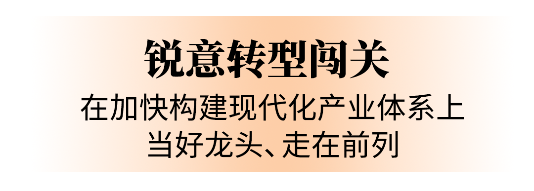 强化龙头担当奋利来国际app力走在前列省表委员热议在支点建设中的武汉重任(图5)