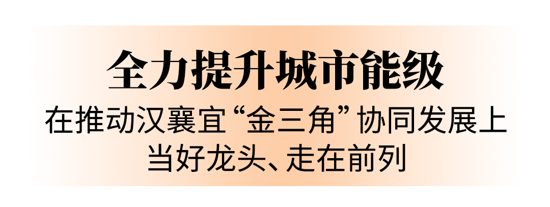 强化龙头担当奋利来国际app力走在前列省表委员热议在支点建设中的武汉重任(图1)