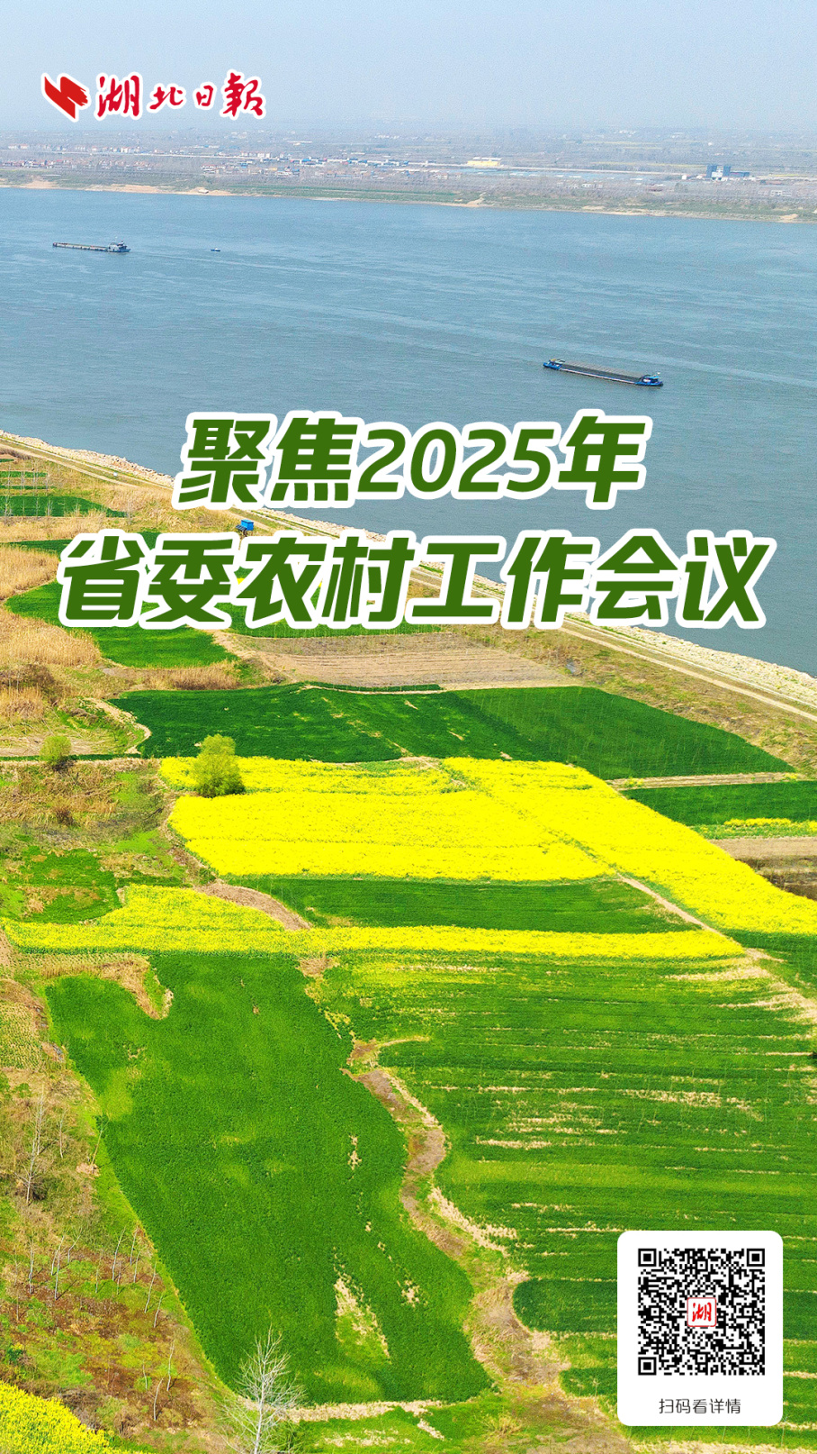 海报0124-cc.jpg