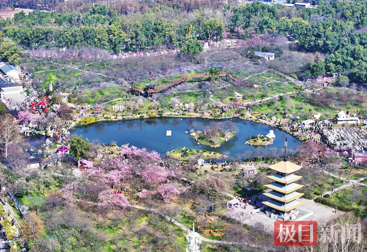 宋枕涛.jpg