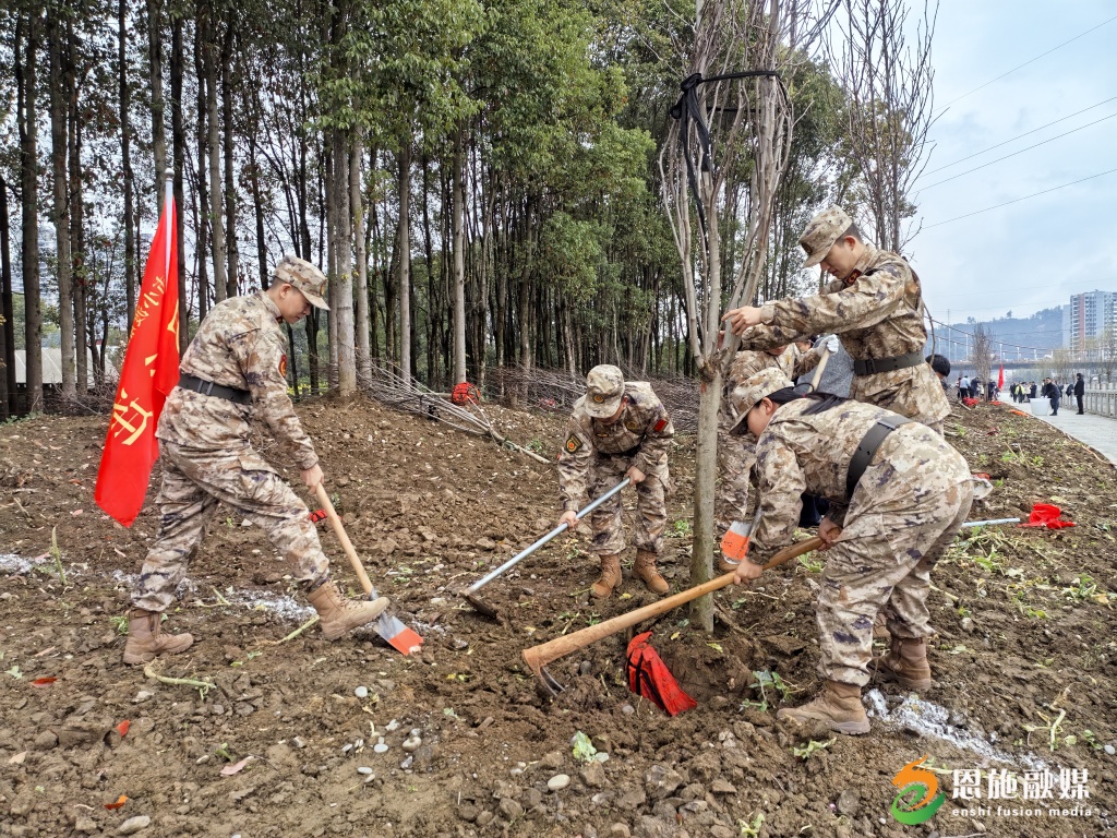 何功伟民兵连参与义务植树.jpg