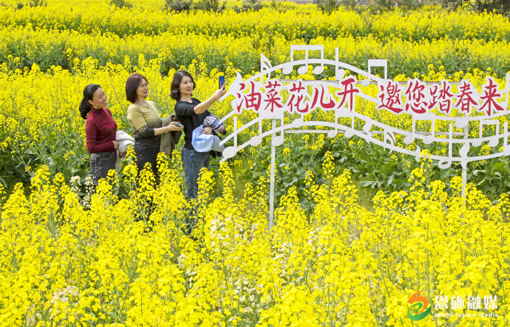 游客在何功伟村观赏油菜花.jpg