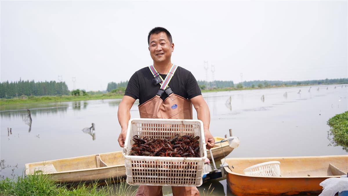 养殖户关宏鹏收获满蓝的小龙虾,喜上眉梢。(湖北日报通讯员 艾帅)