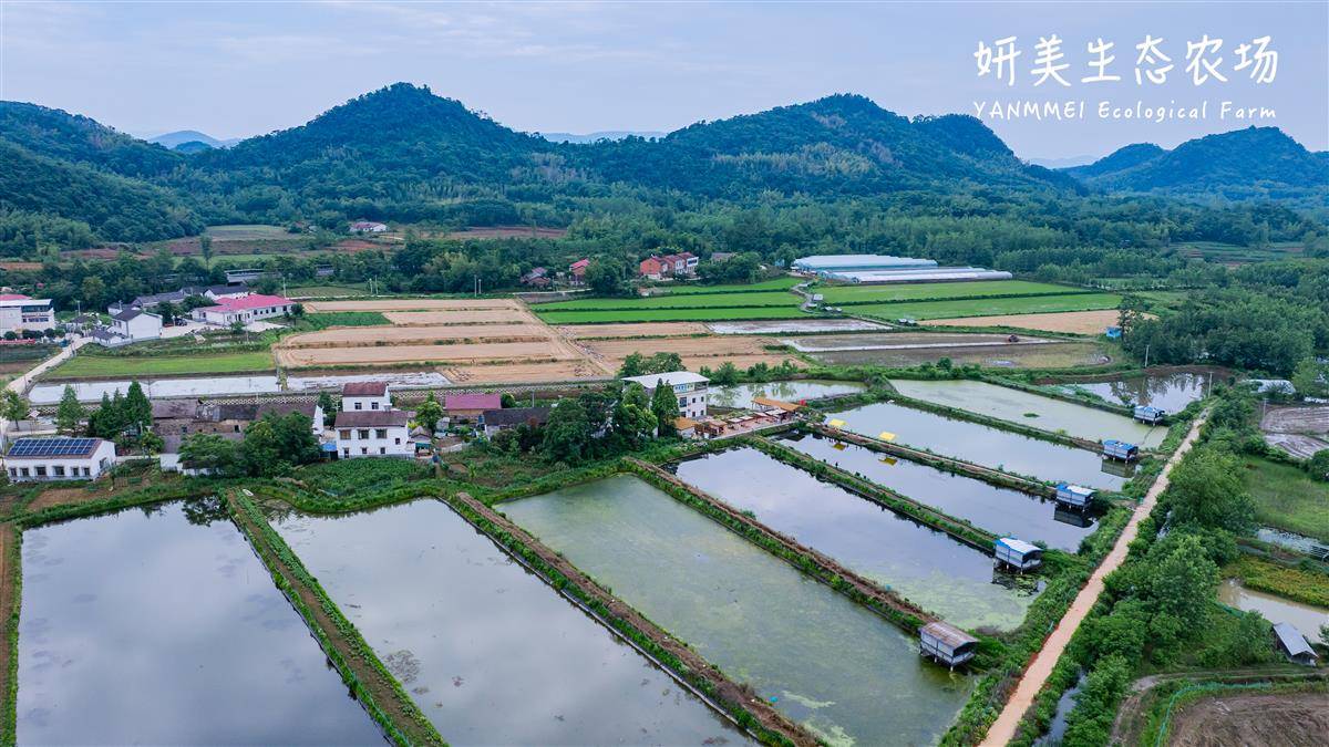 微信图片_2025-07-22_141909_703.jpg