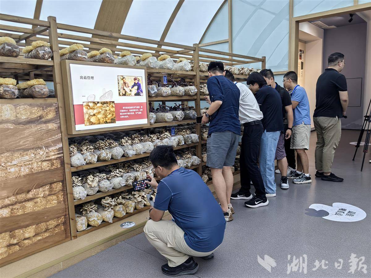微信图片_2025-08-27_220659_119.jpg