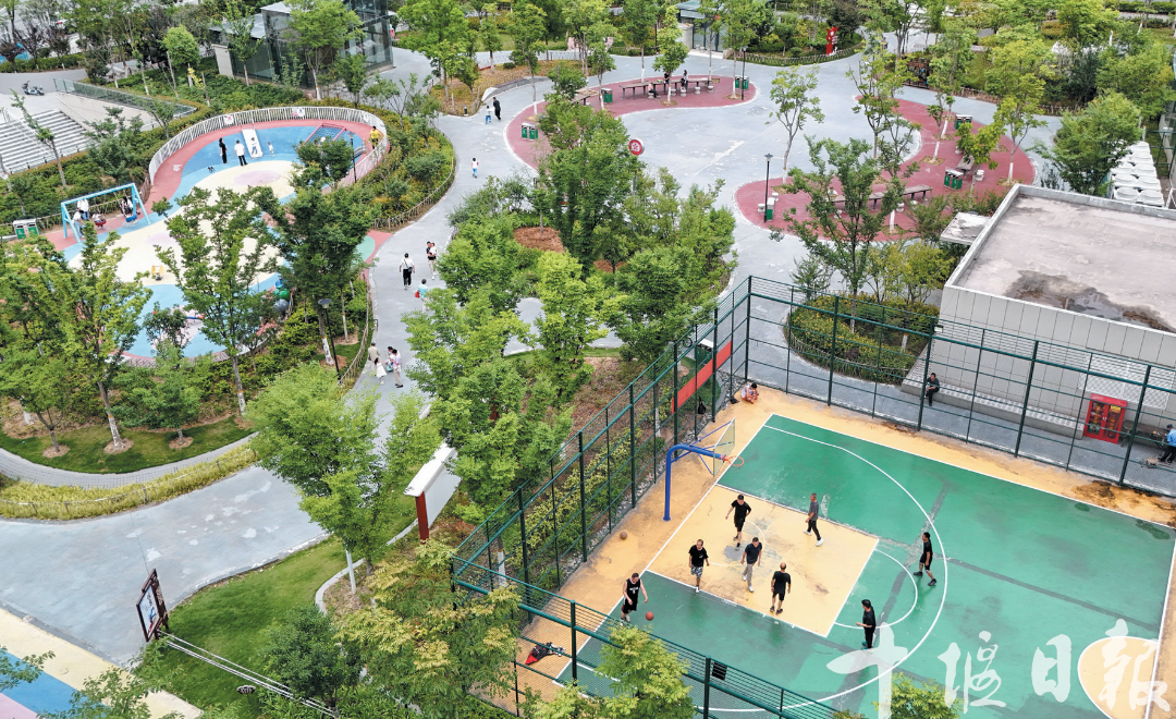 市民在北京中路与重庆路交会处的小游园里运动健身。记者张建波摄.png