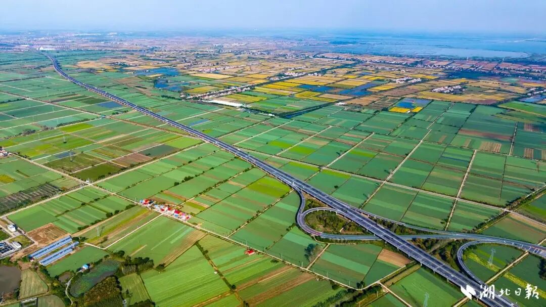 嘉鱼县潘家湾镇十里蔬菜长廊，一望无垠、生机盎然。湖北日报全媒记者魏铼摄.jpg