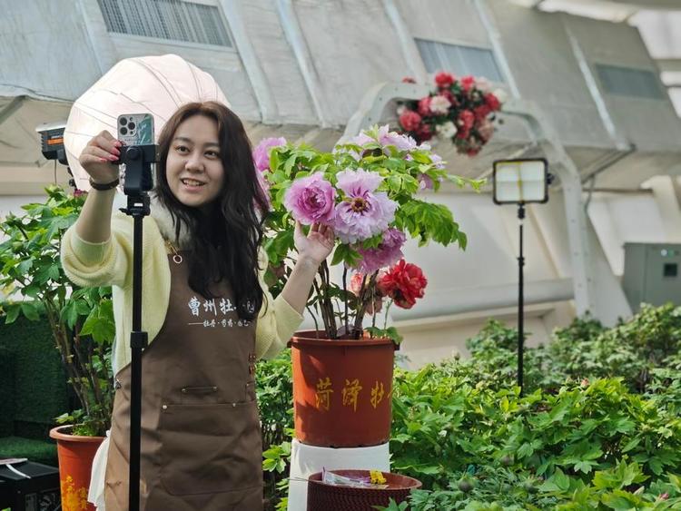 A host promotes peonies via livestreaming in a greenhouse at the Caozhou peony garden, in Heze City, east China's Shandong Province, Feb. 2, 2026. (Photo by Li Baozhu/Xinhua)