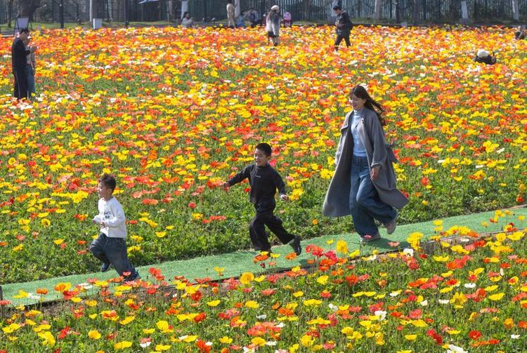 People visit a park in Wuhan, central China's Hubei Province, March 14, 2026. (Xinhua/Xiao Yijiu)
