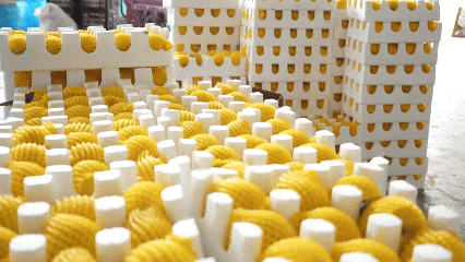 7月2日(3).gif