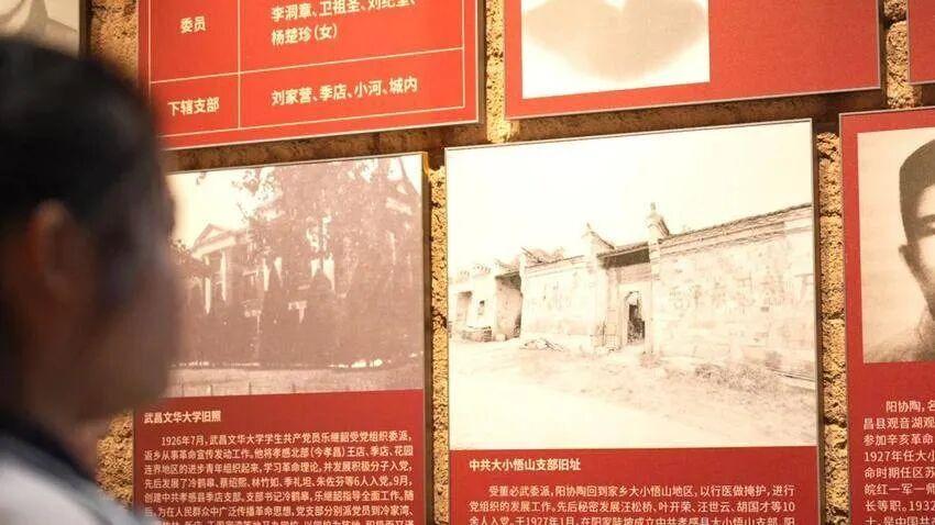 独臂踏征途忠魂耀澴川(报纸稿).docx