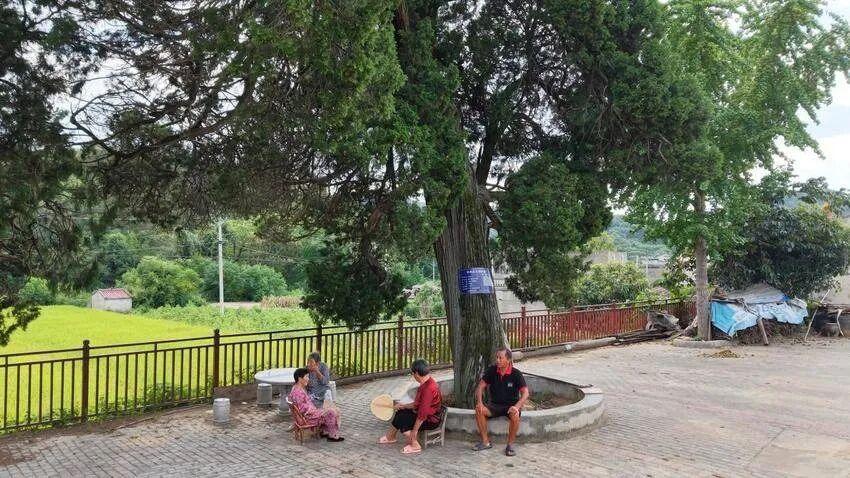 独臂踏征途忠魂耀澴川(报纸稿).docx